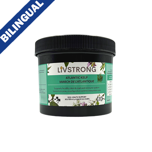 Livstrong ~ Atlantic Kelp Dog & Cat Health Support