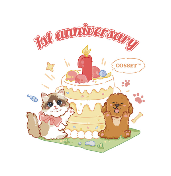 *LIMITED EDITION* 1st anniversary Bag