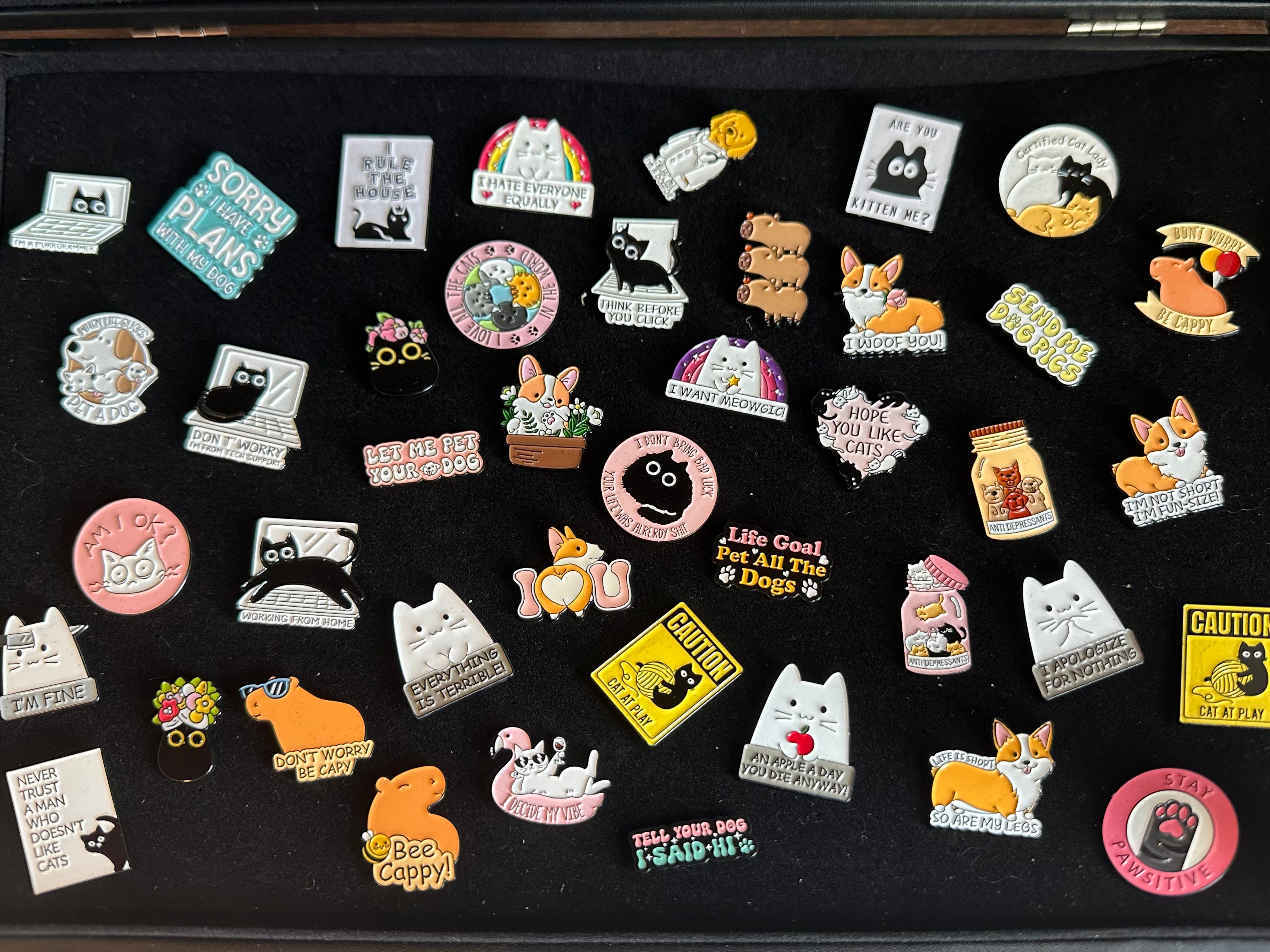 Pins / Earrings – Cosset Pet Supplies Inc.