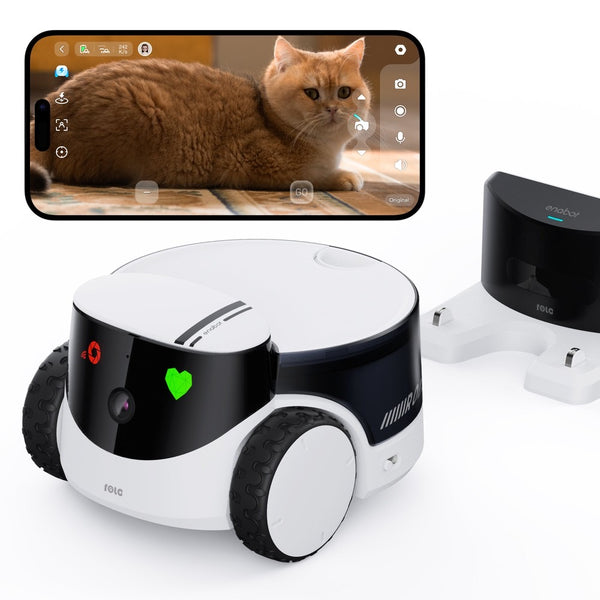 Tnest ~ ROLA PetPal Robot Pet Companion 宠物陪伴机器人