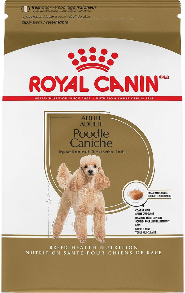 Royal Canin ~ Breed Health Nutrition Poodle Adult Dog Dry Food