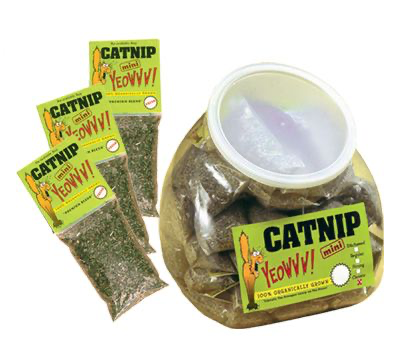 Yeowww ~ Catnip Mini Jug 4g