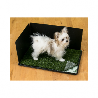 Pooch Pad ~ Classic Potty with Hike Shield 16” x 24”