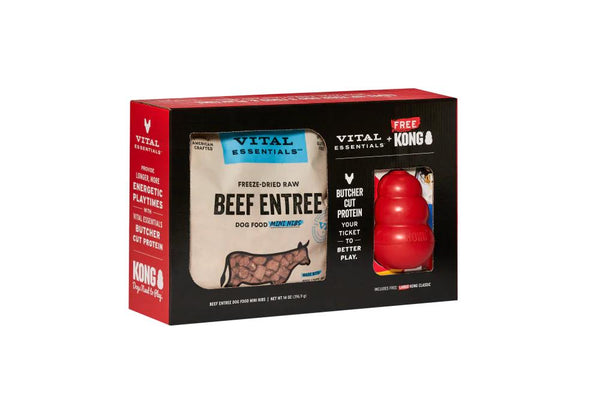 VE + Kong® ~ Beef Mini Nibs & Classic Toy for Dogs, Medium